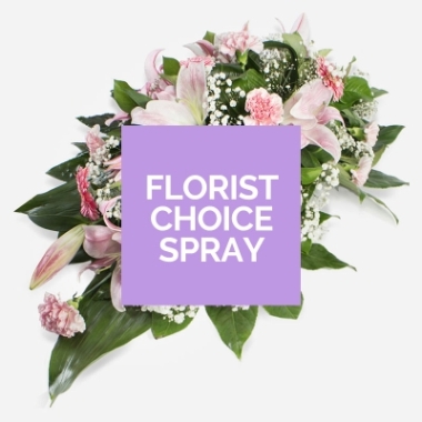 Florist choice spray