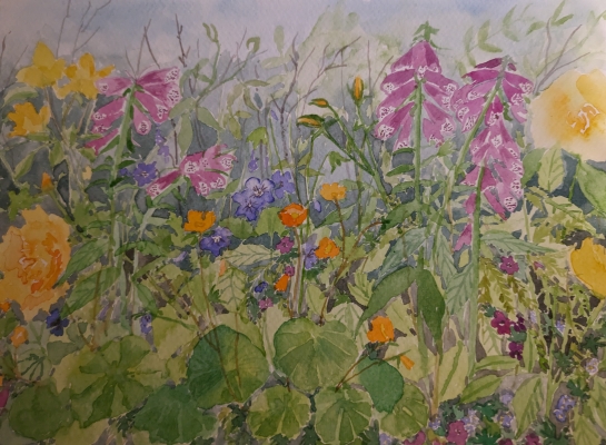 Foxgloves 1