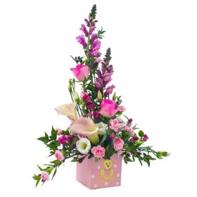 Baby Girl Arrangement