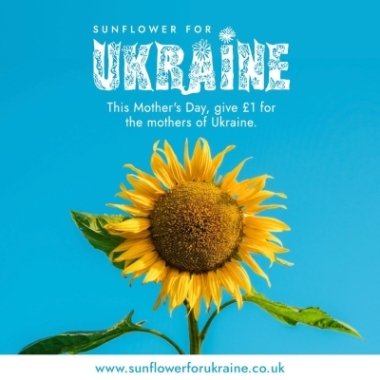 Sunflower for Ukraine